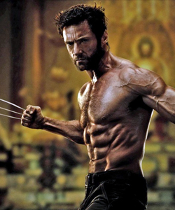 Wolverine